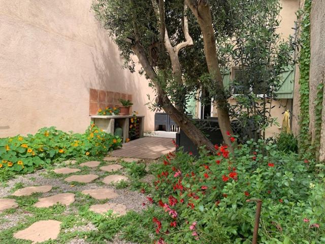 L'Olivier De Nonna Apartment Gruissan Exterior photo